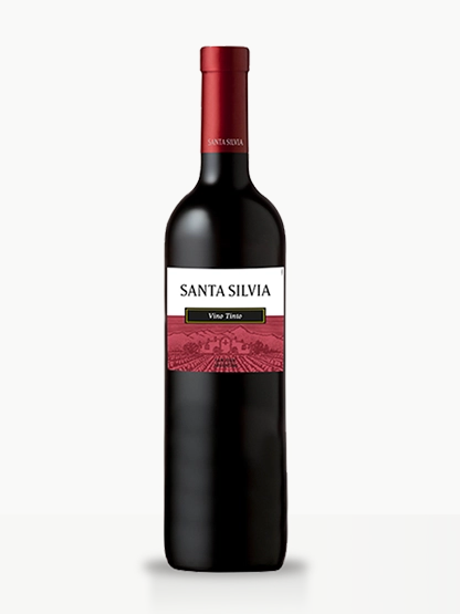Santa Silvia